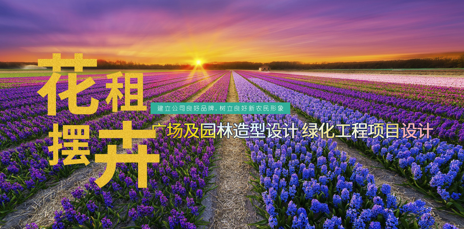 山東諾億農(nóng)業(yè)發(fā)展有限公司